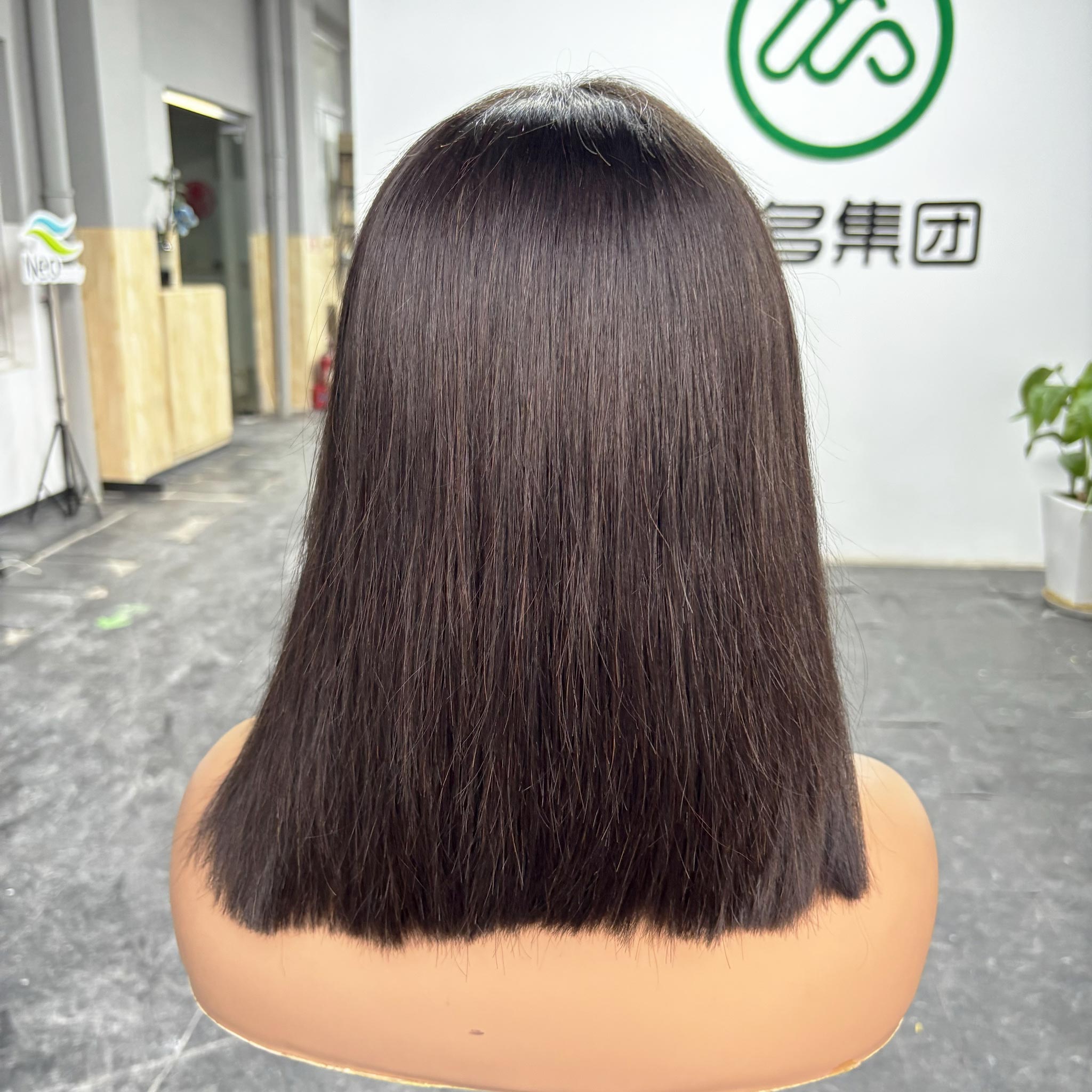 10 inch bob wig human hair