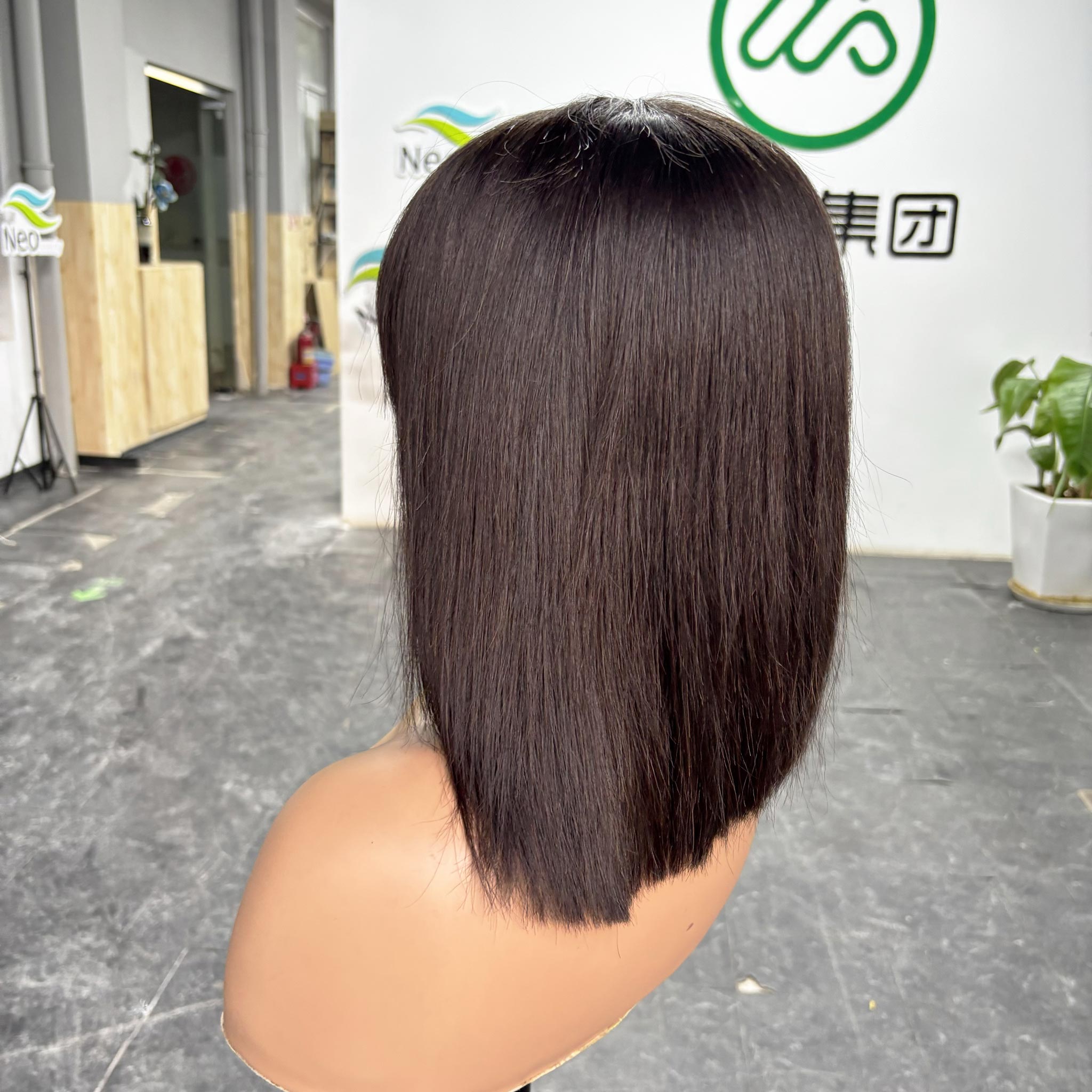 12 inch bob wig human hair