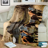 Highlands Blanket, Live Like Someone Left the Gate Open Farmhouse Cow Blanket